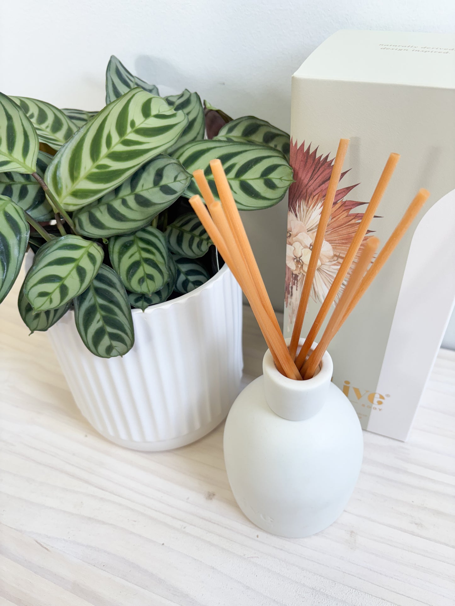 Plant + Diffuser