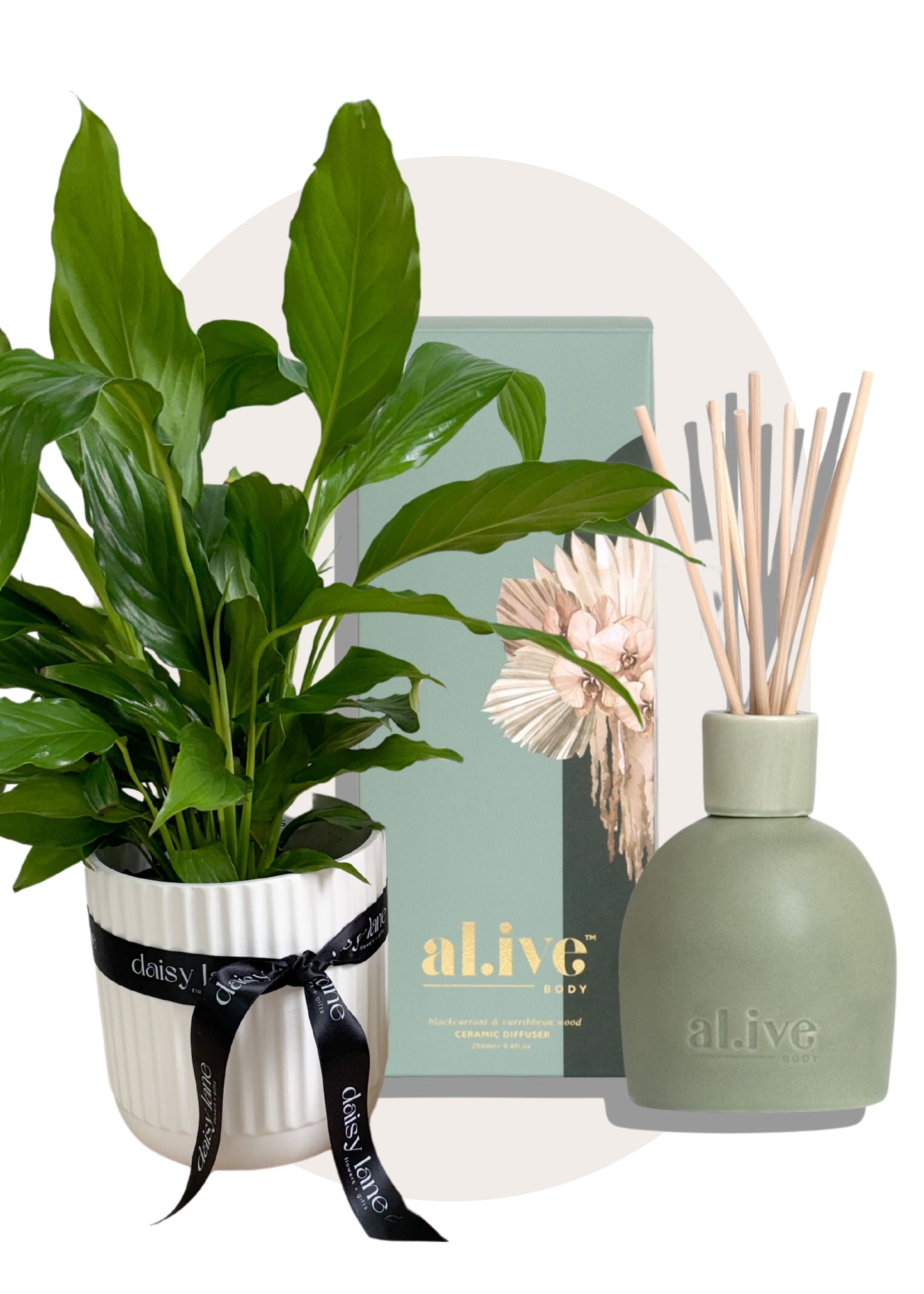 Plant + Diffuser
