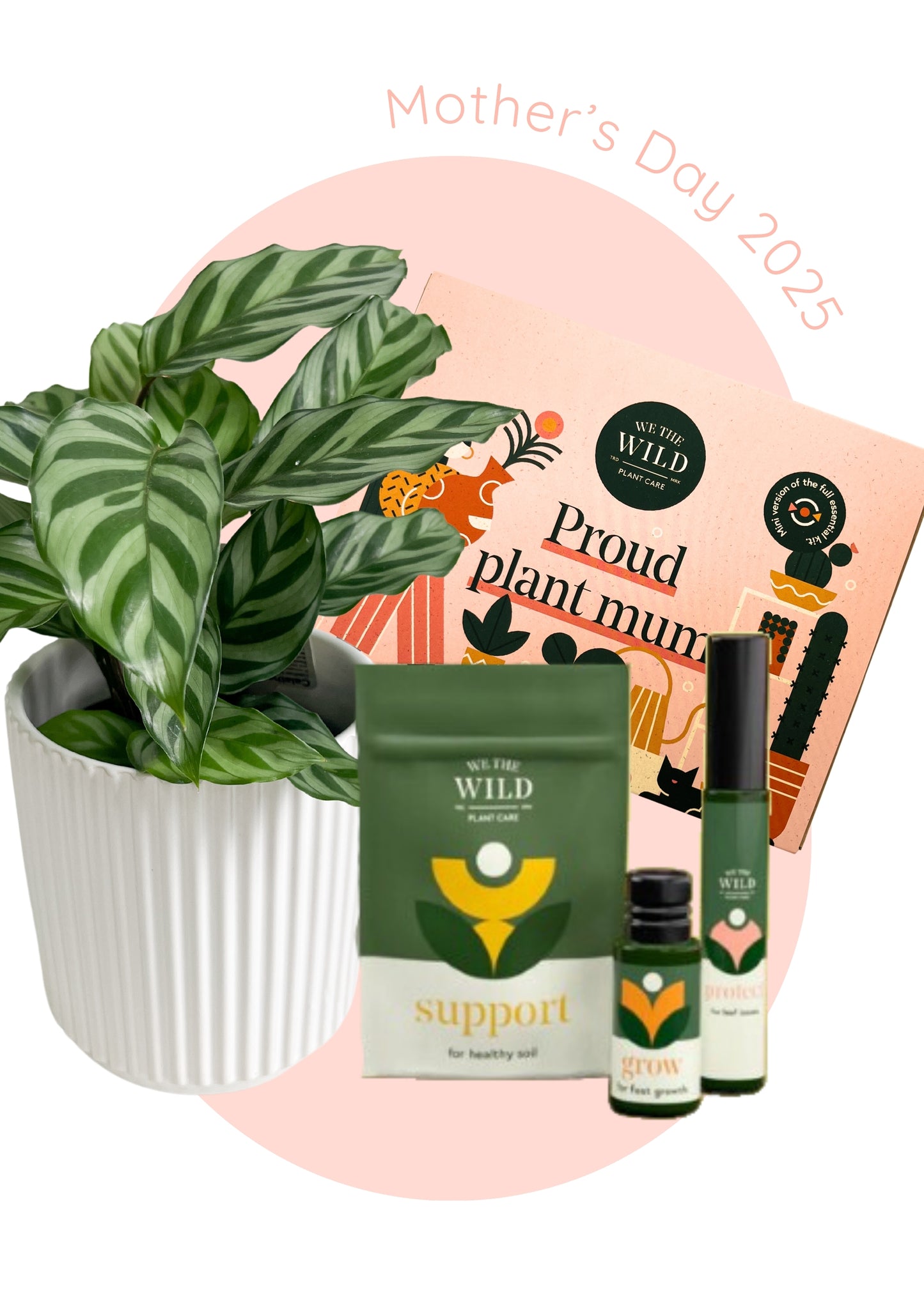 Plant Mum Gift Set