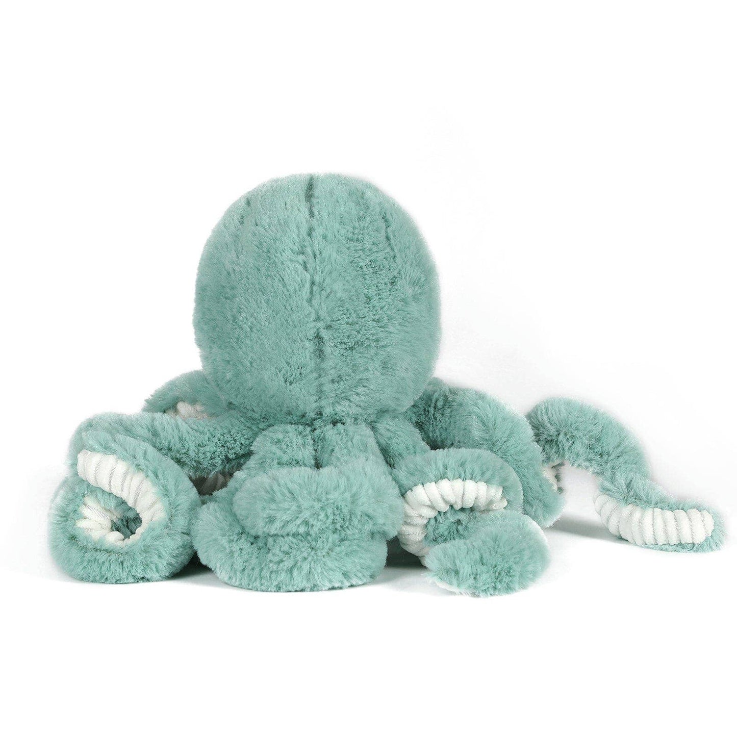 Little Reef Octopus
