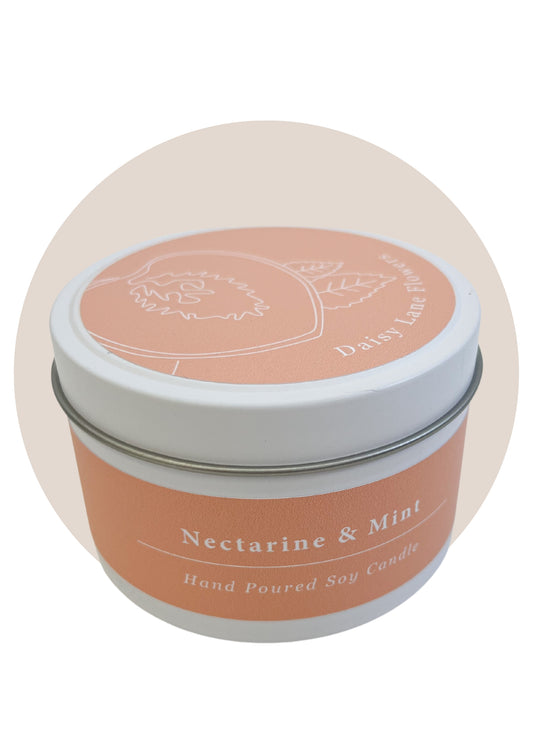 Soy Candle | Nectarine + Mint