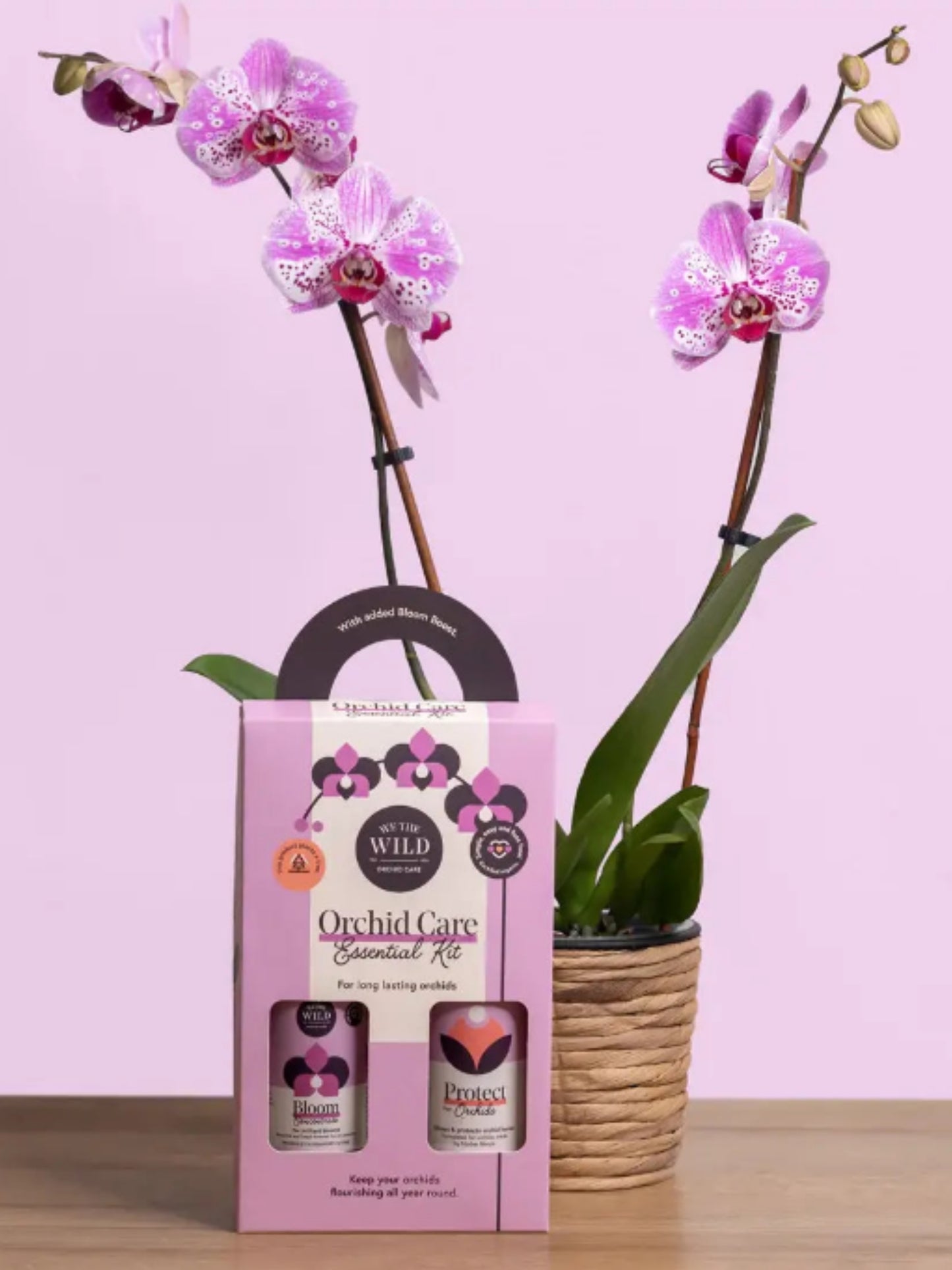 Orchid Care Duo
