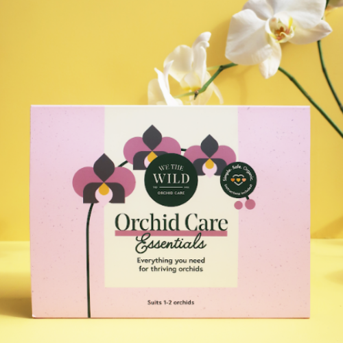 Orchid Care Essentials