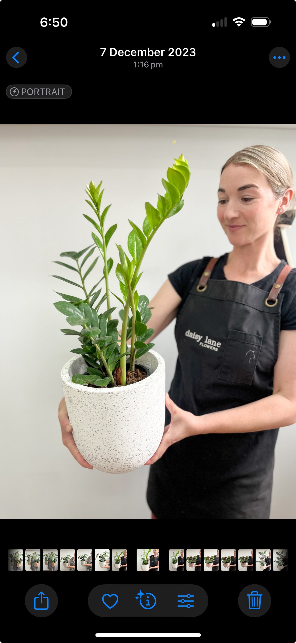 Plants + Garden