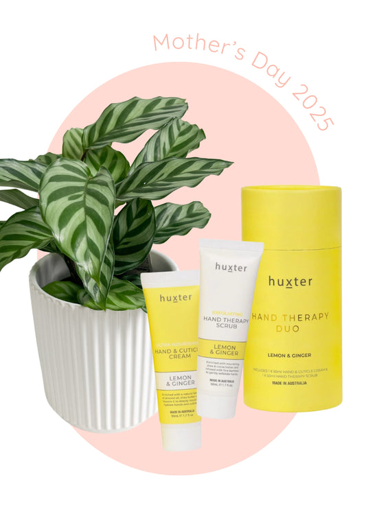 Plant + Hand Therapy Gift Set