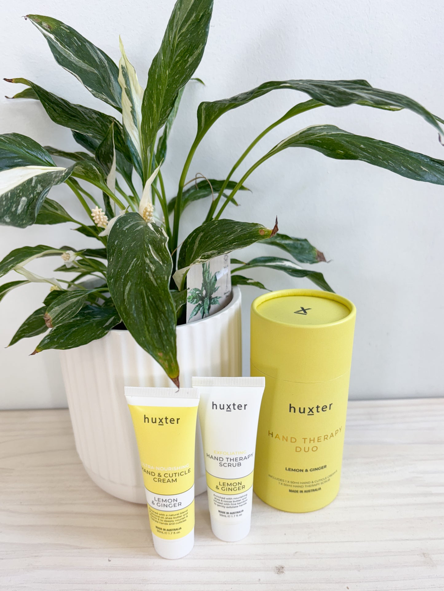 Plant + Hand Therapy Gift Set