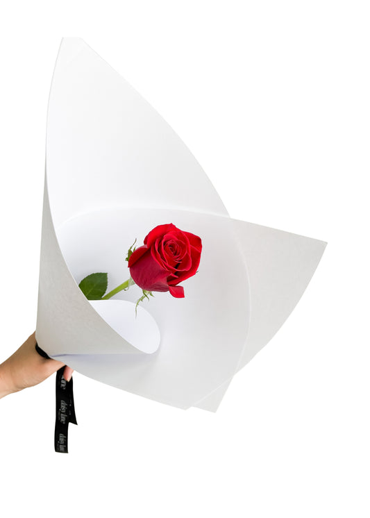 Secret Admirer Valentine Rose