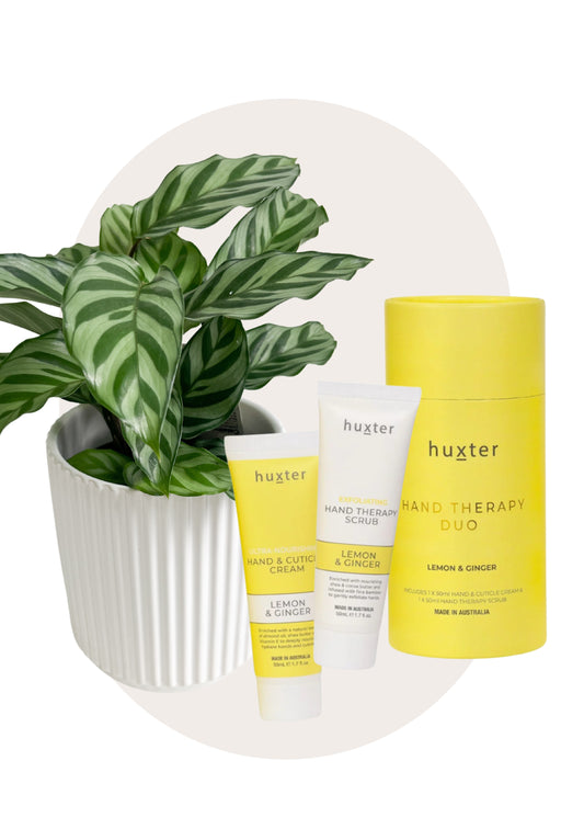 Plant + Hand Therapy Gift Set