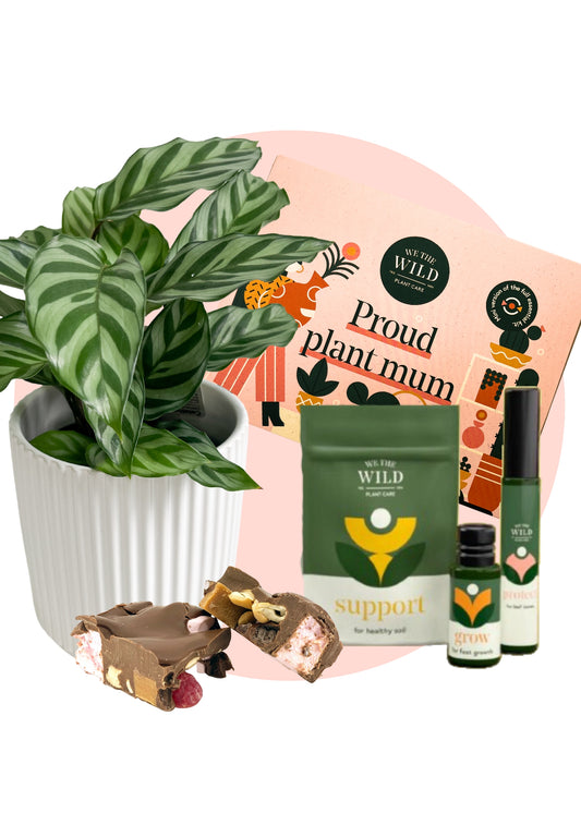 Plant Mum Gift Box