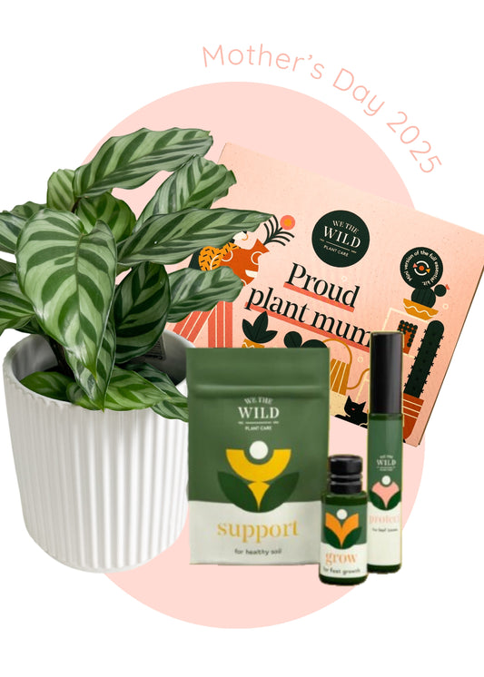 Plant Mum Gift Set