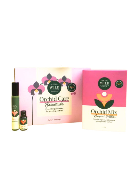 Orchid Care Essentials