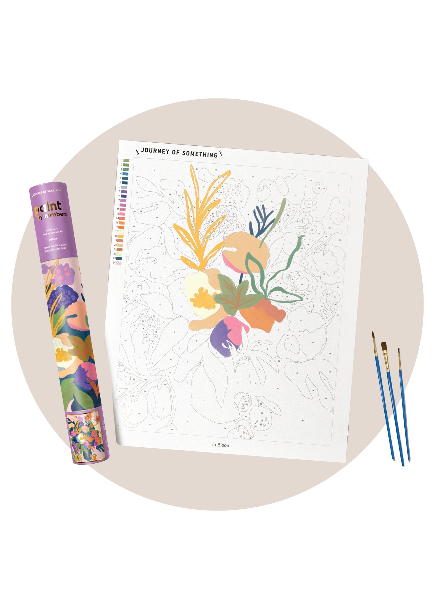 Paint by Numbers | In Bloom