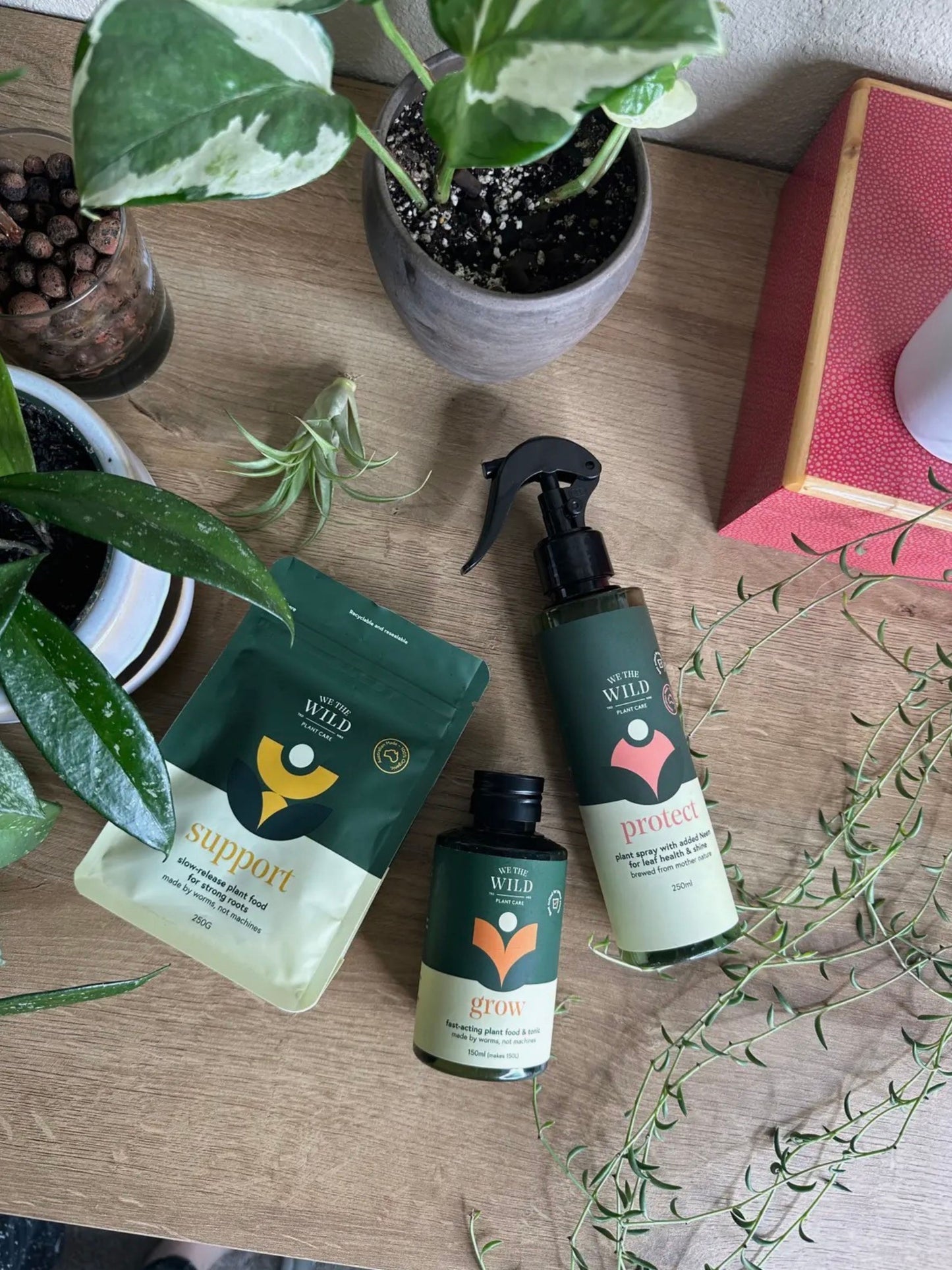 Houseplant Essentials Kit