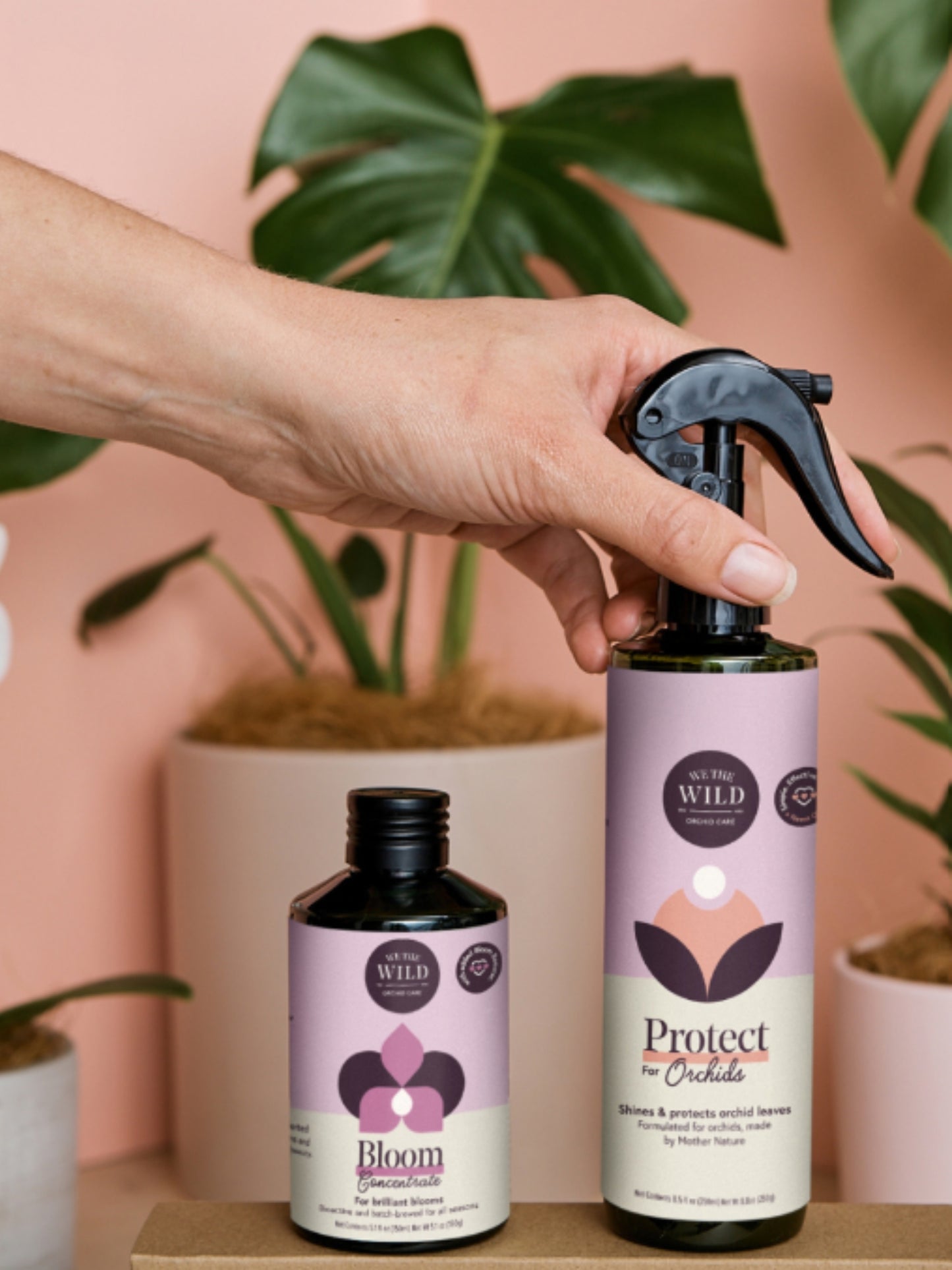 Orchid Care Duo