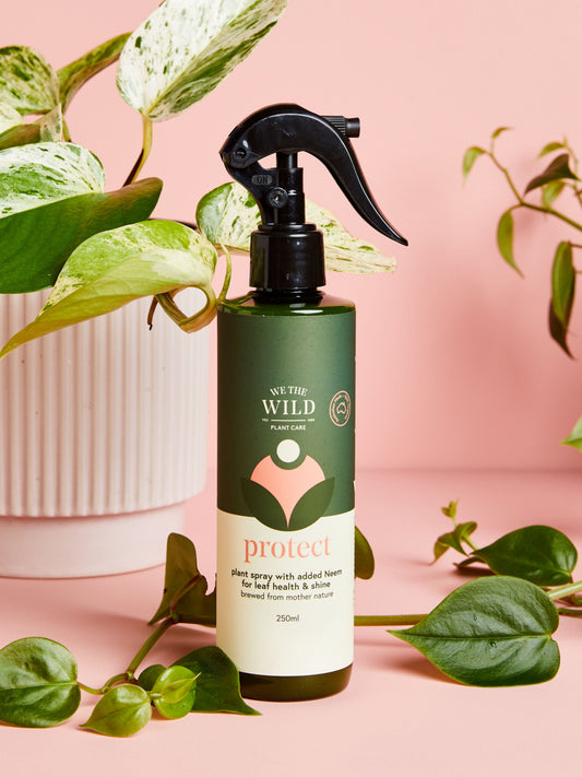 Protect Spray