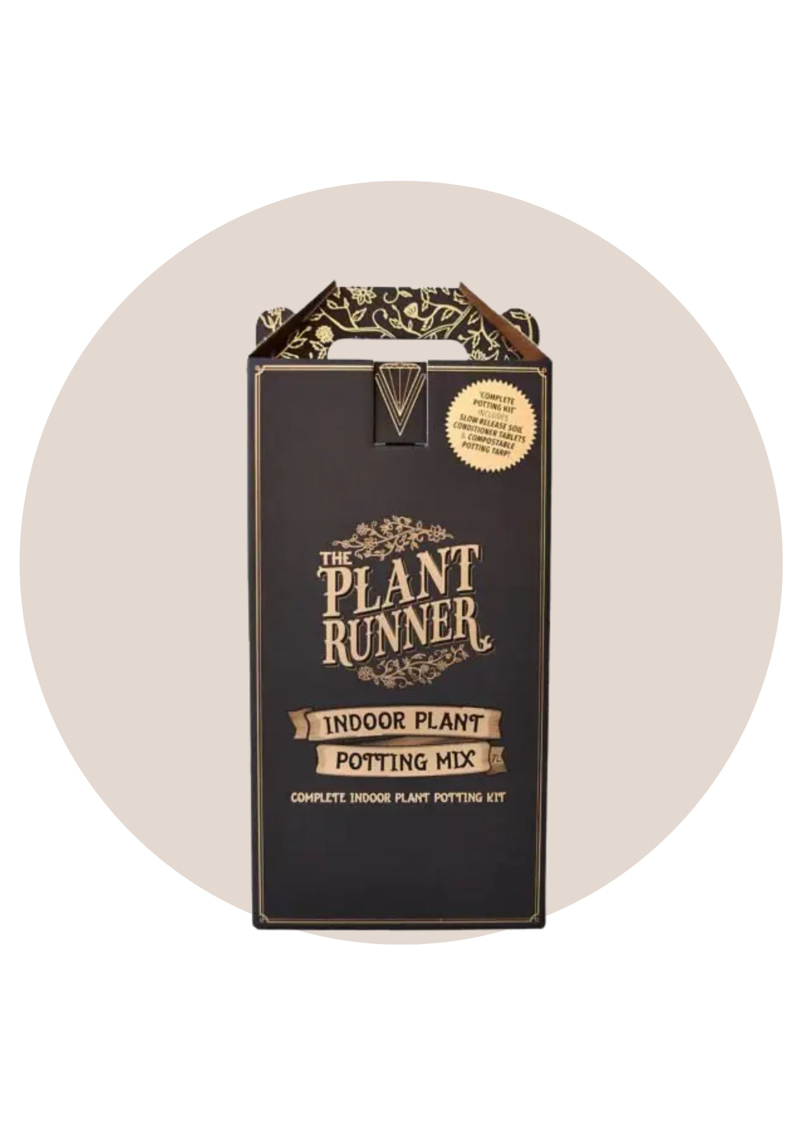 Potting Mix Daisy Lane Flowers